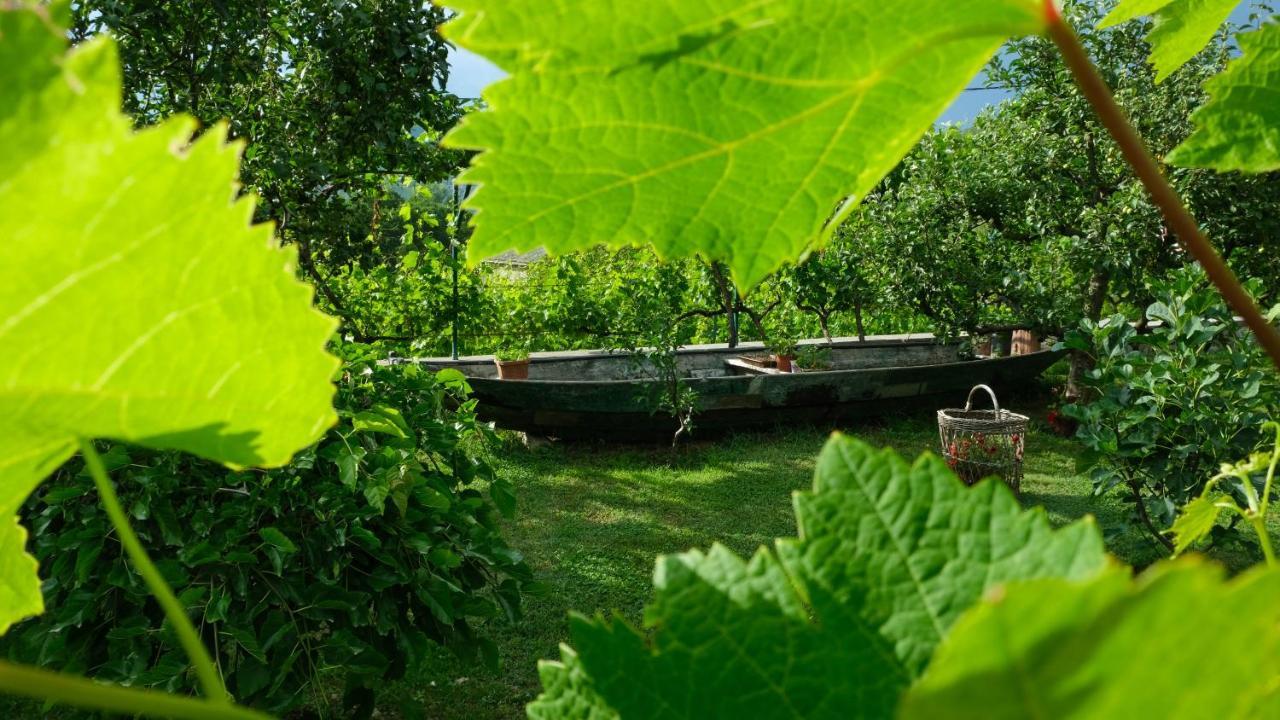 Country House Djurisic Virpazar Exterior photo